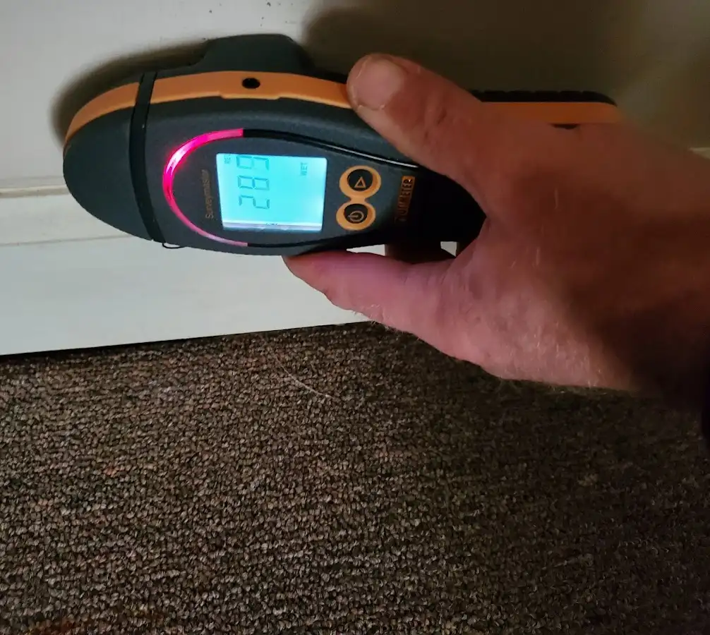 Moisture detection at baseboard during Sewage Cleanup & Sanitation in Southgate